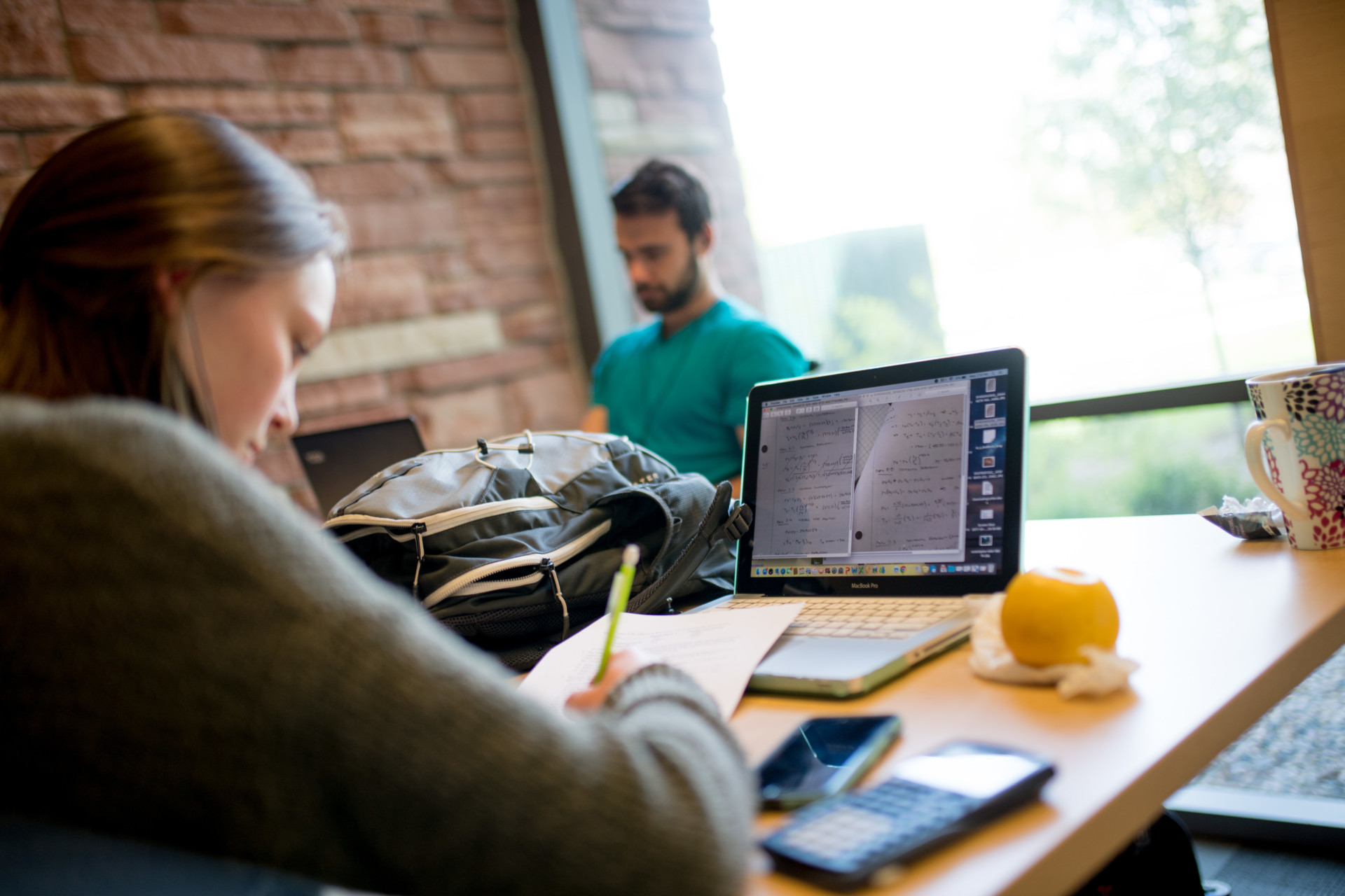 student studies with computer in the library