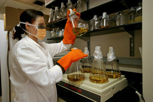 Female in white lab coat examining beaker contents