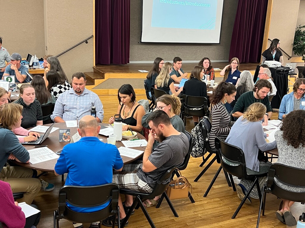 Undergraduate Research Academies