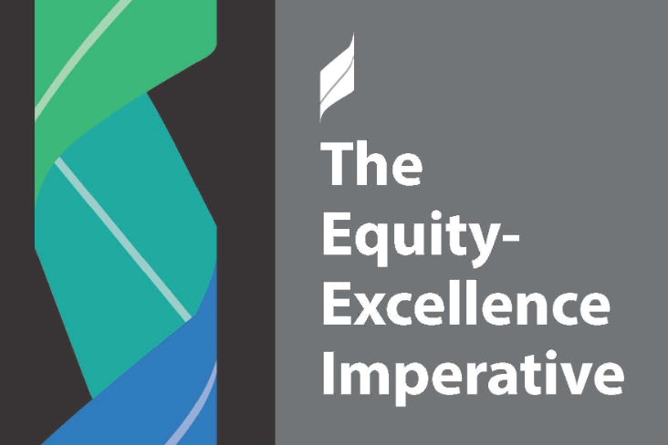 The Equity-Excellence Imperative book cover