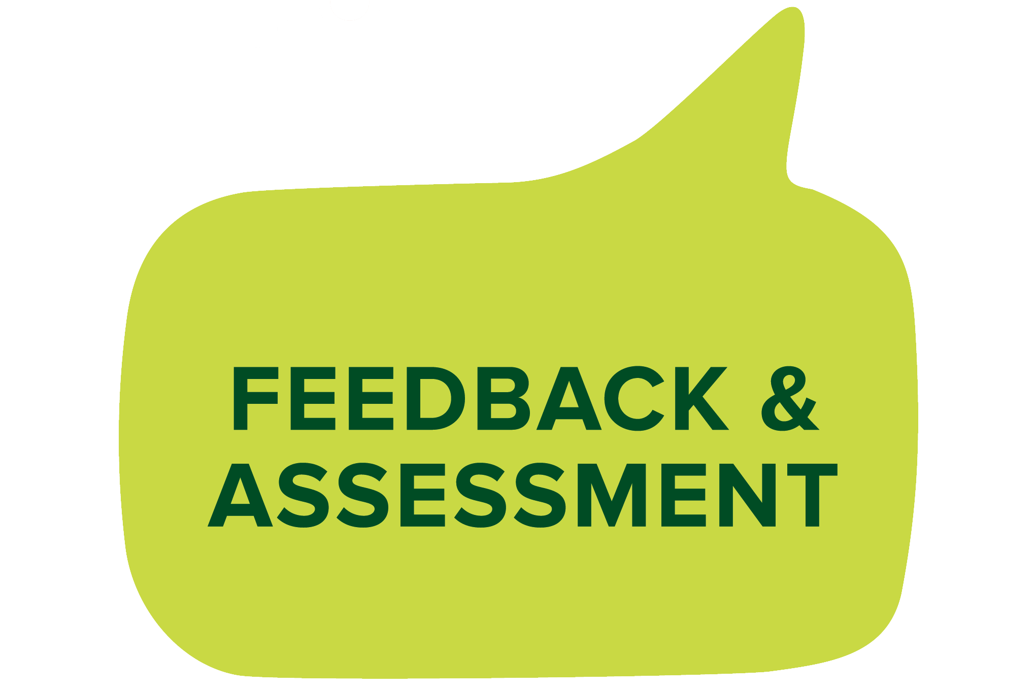 Feedback and Assessment