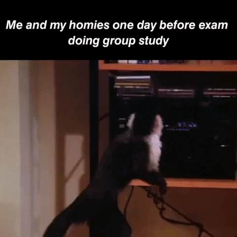 TV Show "Friends" GIF with the caption "me and my homies one day before doing group study"