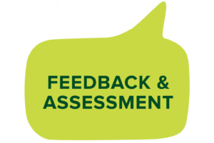 Feedback & Assessment TEF Bubble