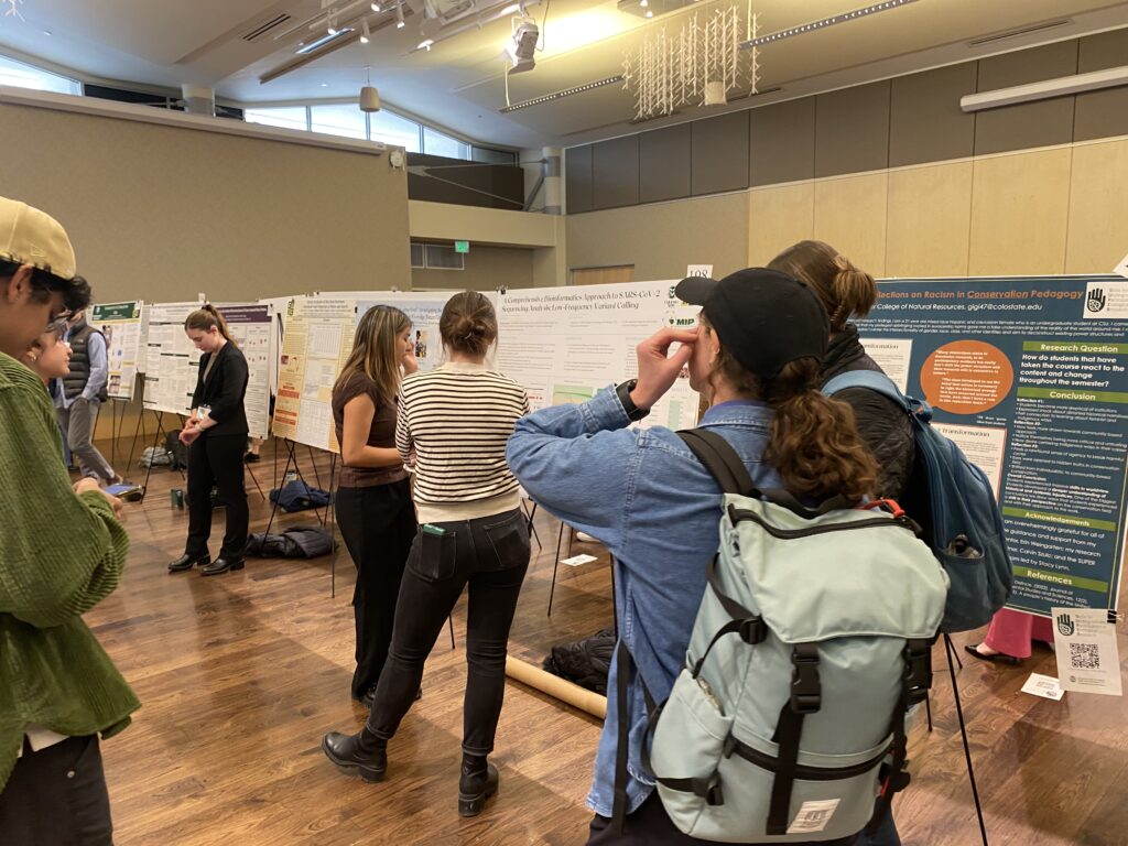 Students stand in front of their posters at MURALS to present their research and work