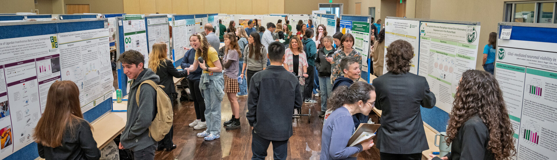 Students, judges, and onlookers walk through posters at The Celebration of Undergraduate Creativity and Artistry (CURC) that took place in the Lory Student Center on April 17, 2025