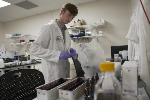 A student wearing a lab coat in a research lab examines their next step