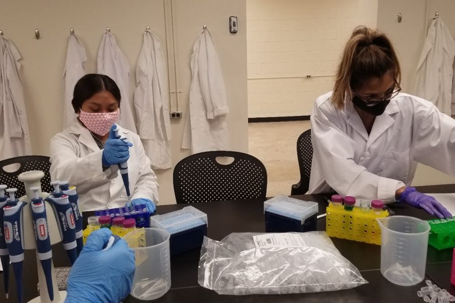 Two students in white lab coats use lab instruments to progress in their lab projects