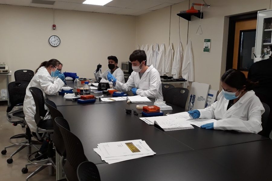 four students sit at a lab table with their white lab coats on working on their OURA lab projects