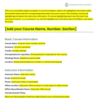 image of syllabus template